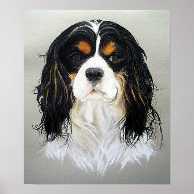 Poster du chien espagnol Cavalier King Charles Imp (Devant)