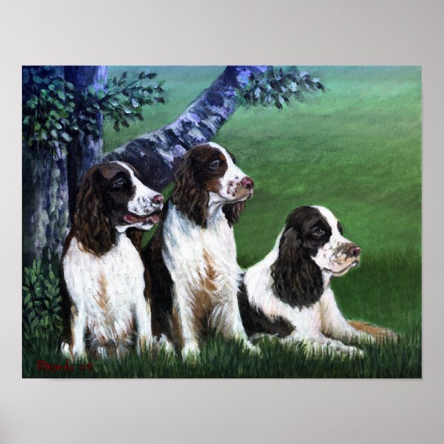 Poster du chien espagnol Springer anglais Imprimer (Devant)
