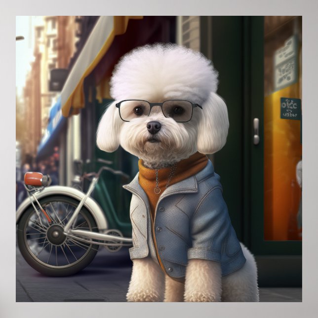 Poster du Chien Hipster de Bichon Frise (Devant)