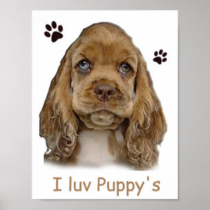 Poster du chiot Cocker spaniel