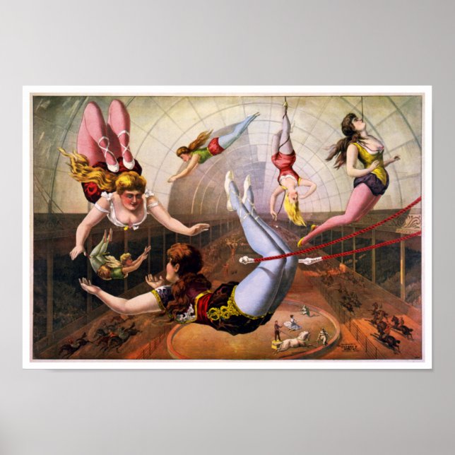 Poster du cirque (Devant)