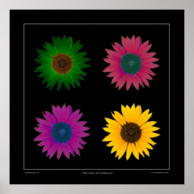 Poster du concepteur "La couleur des tournesols" s (Devant)
