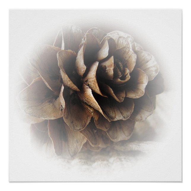 Poster du cône de Larch (Devant)