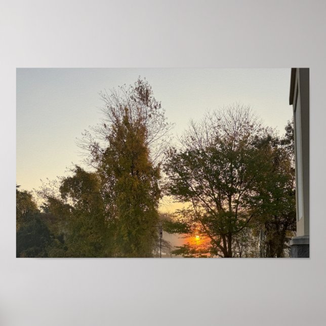 Poster du coucher de soleil avec arbres (Devant)