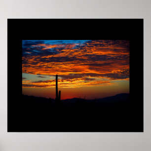Poster du coucher de soleil de Cactus