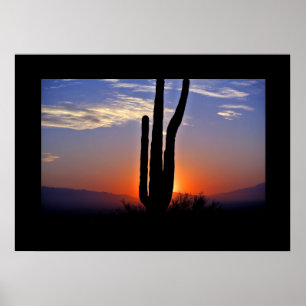 Poster du coucher de soleil de Cactus