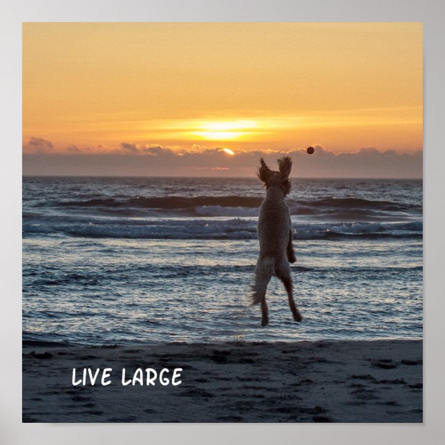 Poster du coucher de soleil de plage "Live Large"  (Devant)