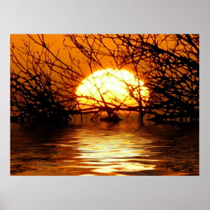 Poster du coucher de soleil liquide