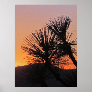 Poster du coucher de soleil Yosemite