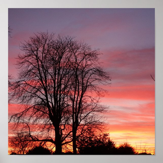 Poster du coucher du soleil et de la silhouette de (Devant)