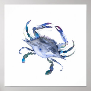 Poster du crabe bleu aquarelle