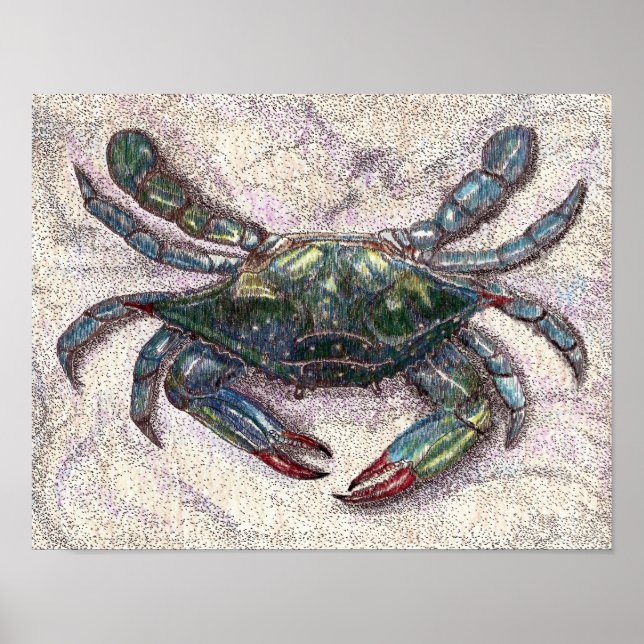 Poster du crabe bleu de la baie Chesapeake (Devant)
