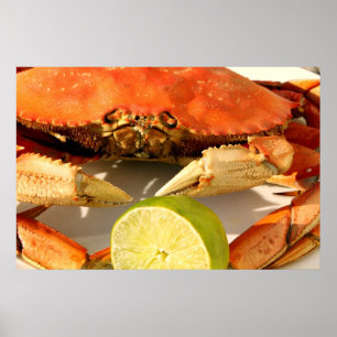 Poster du crabe de Dungeness