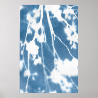 Poster du Cyanotype en fleurs de cerisier japonais
