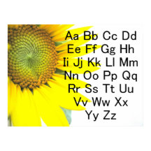 Poster du diagramme alphabétique du tournesol