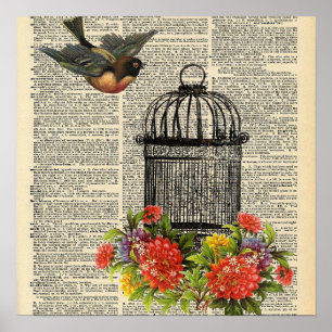 Poster du dictionnaire vintage Bird Cage