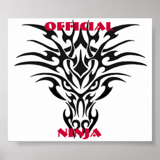 Poster du dragon