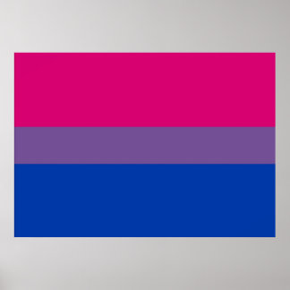 Poster du drapeau de la fierté bisexuelle