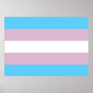 Poster du drapeau de la Fierté transgenre