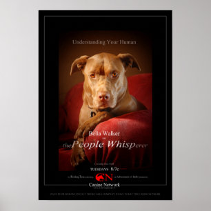 Poster du film Chien Mix de laboratoire de chocola