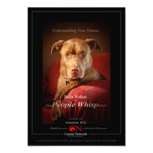 Poster du film Chien Mix de laboratoire de chocola