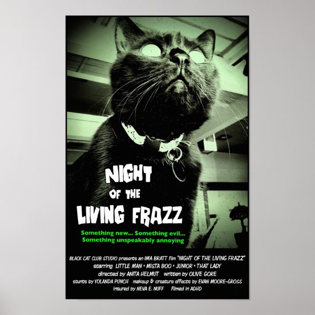 Poster du film d'horreur de chat Zombie, Vert, tai (Devant)