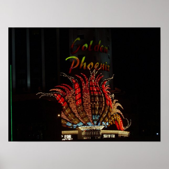 Poster du Flamant rose Reno Nevada (Devant)