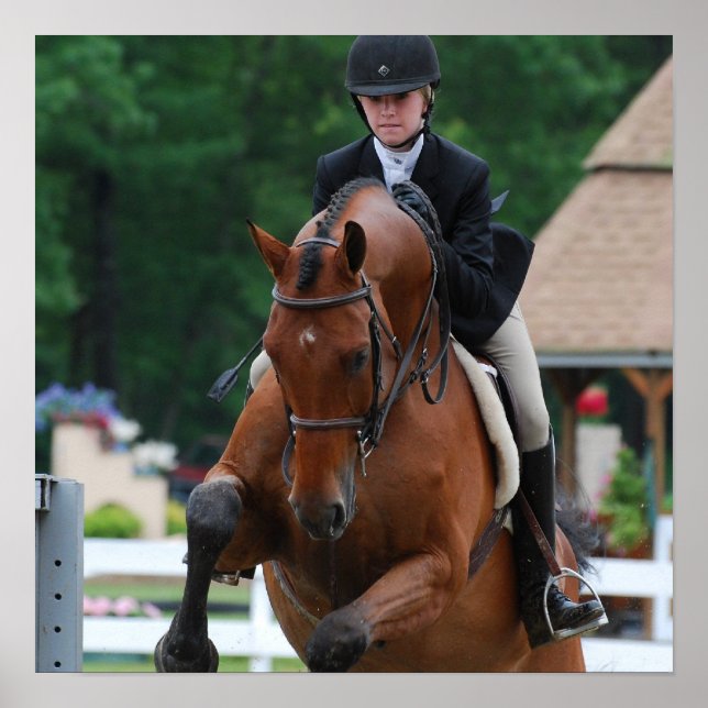 Poster du Hunter Horse Show (Devant)