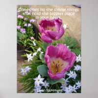 Poster du jardin de printemps Tulip rose Little Th