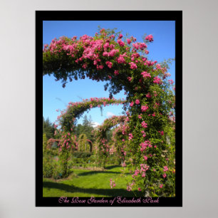 Poster du Jardin Rose d'Elizabeth Park