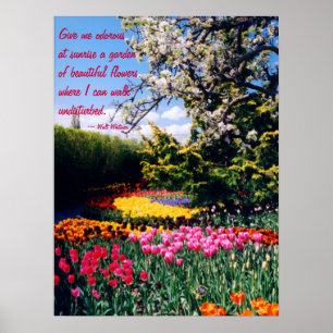 Poster du jardin Walt Whitman Tulip