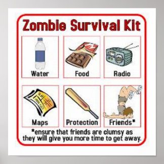 Poster du kit de survie Zombie