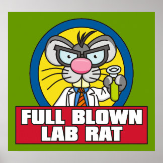 Poster du Lab Rat