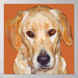 Poster du Labrador jaune 12,5 x 12,5