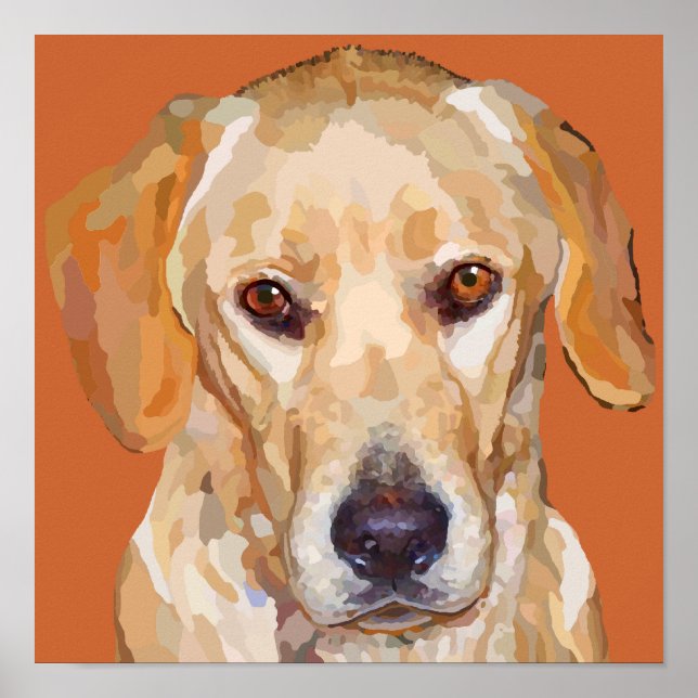 Poster du Labrador jaune 12,5 x 12,5 (Devant)