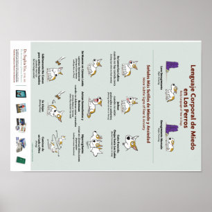 Poster du langage corporel de la peur dans les chi