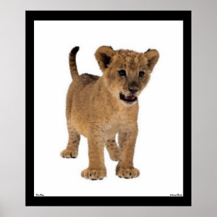 Poster du Lion Baby