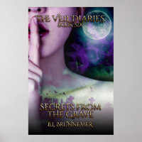Poster du livre Veil Diaries Book VI