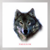 Poster du loup de liberté motivationnelle unique d