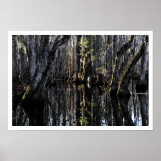 Poster du marais d'hiver