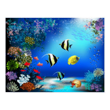 Poster du monde marin