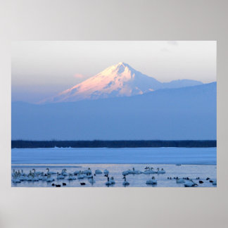 Poster du Mont Shasta en Californie