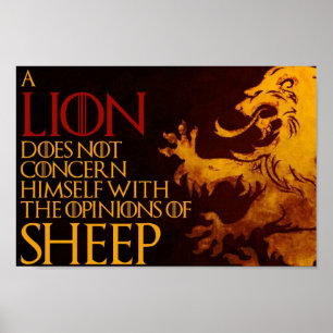 Poster du mouton de lion (12 po x 8 po)