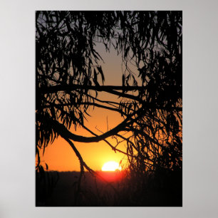 Poster du NEST SUNSET