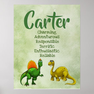 Poster du nom Carter