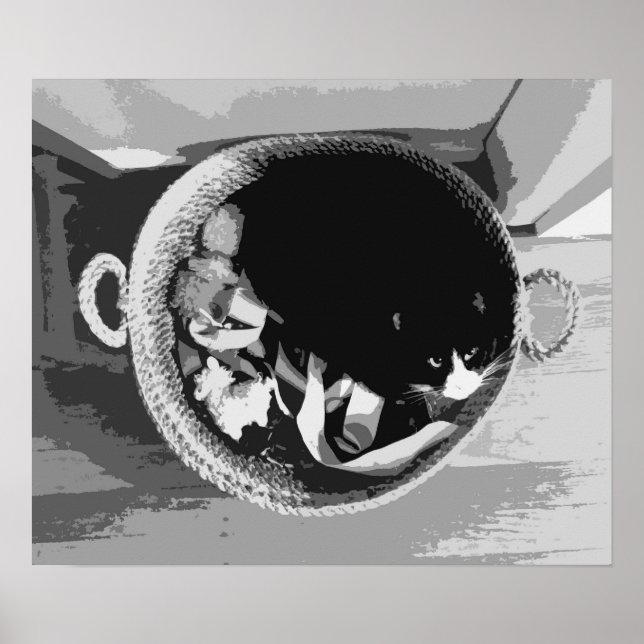 Poster du panier (Devant)