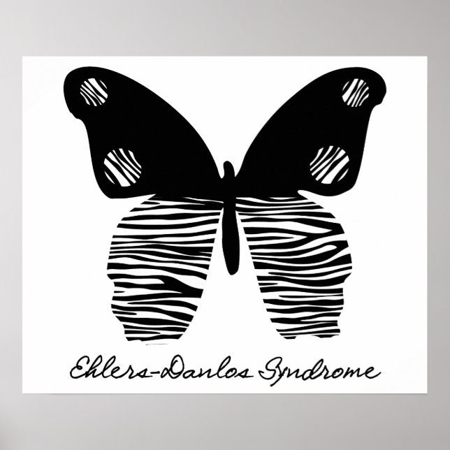 Poster du papillon Zebra Stripe EDS 24X20 (Devant)