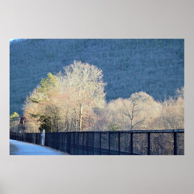 Poster du parc d'état de Trees Lehigh Gorge (Devant)