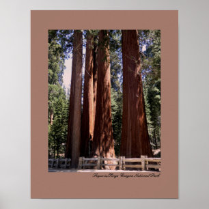 Poster du parc national de Sequoia/Kings Canyon