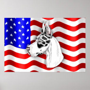 Poster du Patriot Dane Harle